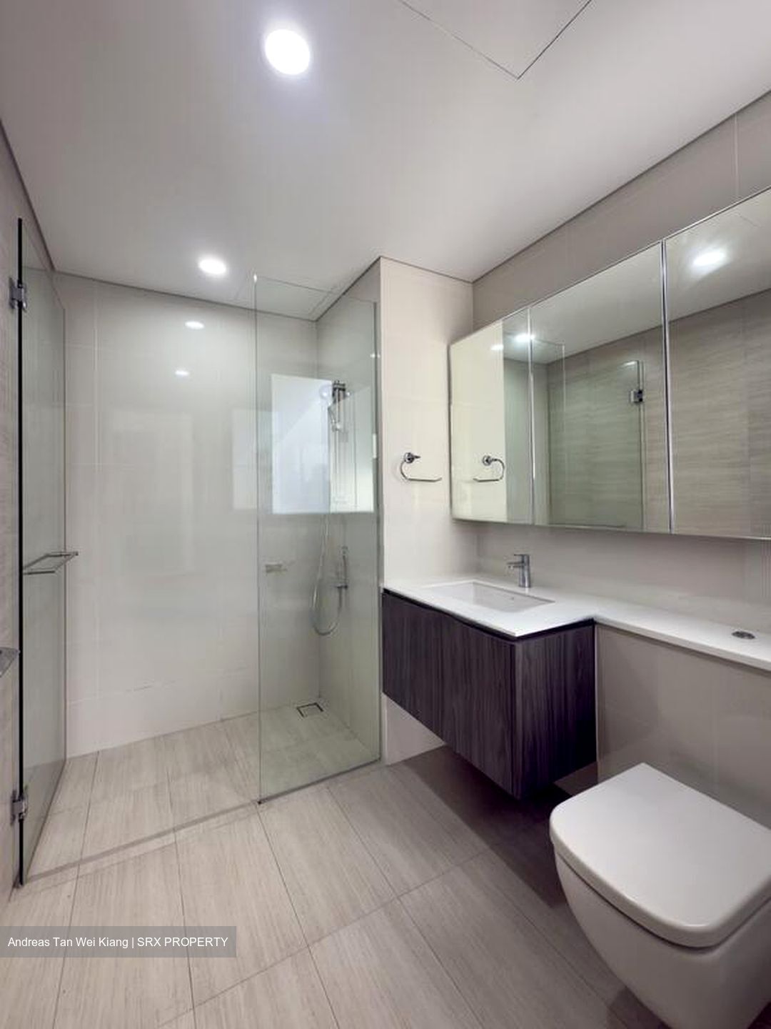Lakeville (D22), Condominium #569703731